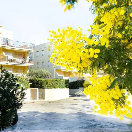 Con Terraza A 150 M De La Playa De Grifeu, Ideal 4 Personas - Es-228-50 Apartment Llanca